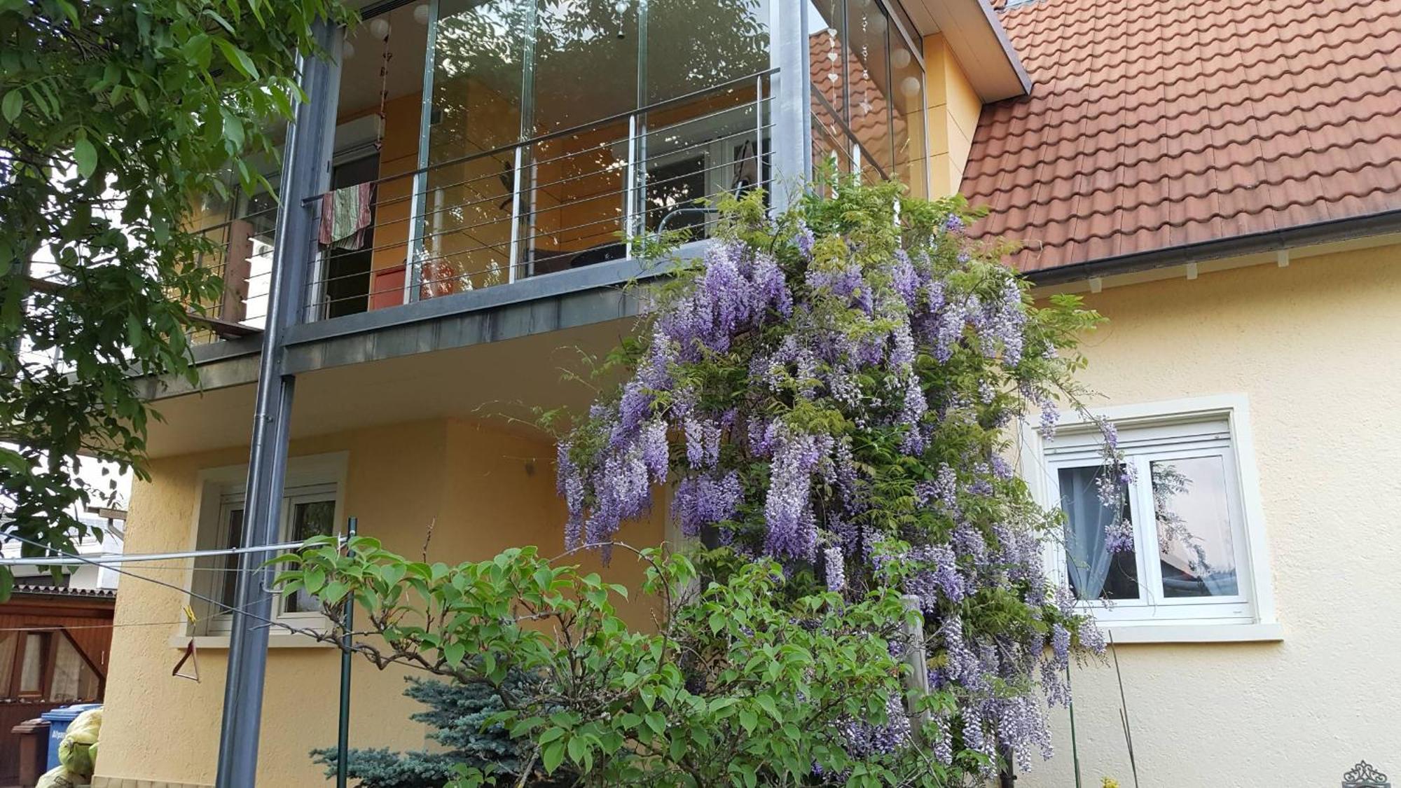 Ferienwohnung Miezerle Steisslingen Bagian luar foto